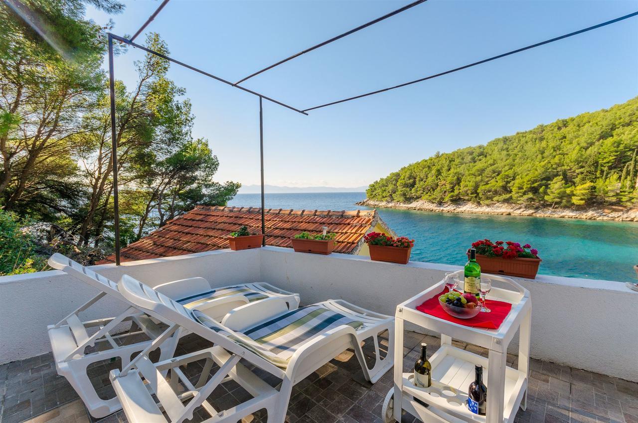 House Vatromir Holiday home
