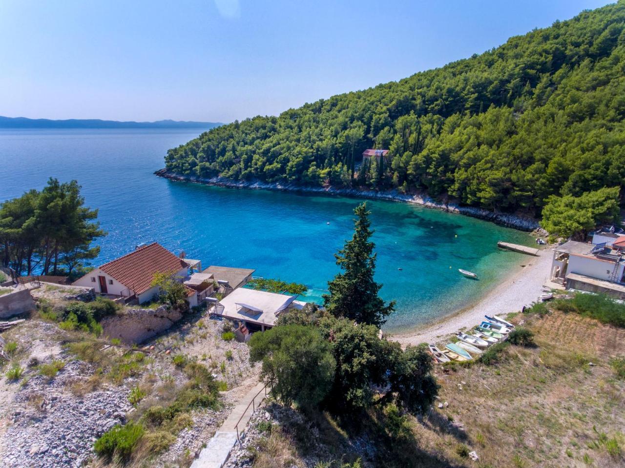 House Vatromir